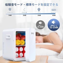 新品　ミニ冷蔵庫 10L 0~65℃ 小型 冷温庫 保冷保温庫 小型 ペルチェ方式の画像