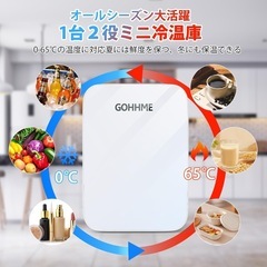新品　ミニ冷蔵庫 10L 0~65℃ 小型 冷温庫 保冷保温庫 小型 ペルチェ方式の画像