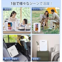 新品　ミニ冷蔵庫 10L 0~65℃ 小型 冷温庫 保冷保温庫 小型 ペルチェ方式の画像