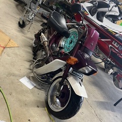 ホンダシャリー　GPX125 角目シャリー