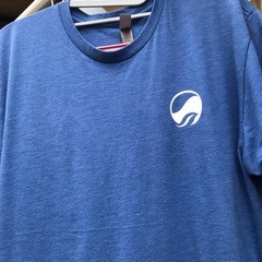 メンズ　中古Ｔシャツ　 Ｌサイズの画像