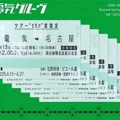 6/22大阪(会員)電気グルーヴthe指席定1枚