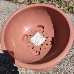 新品植木鉢１０鉢（プラスチック）の画像