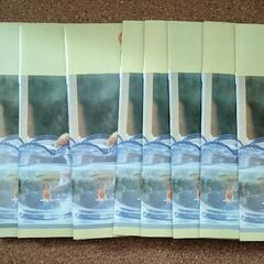 アルバム10冊 ネコの画像