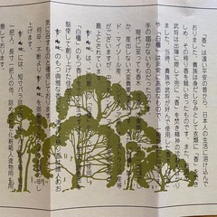 玉初堂 香樹林 高級線香 8箱入りの画像