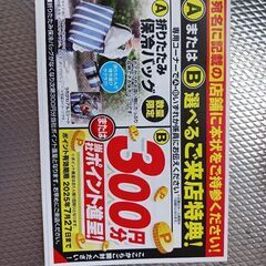エディオン引換券