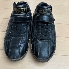 野球　スパイク　20.0