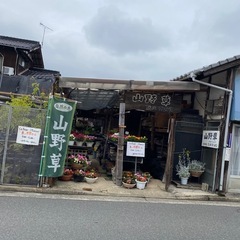園芸店セール中