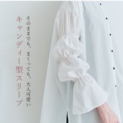 キャンディースリーブチュニックブラウスの画像