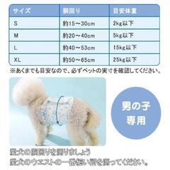 【(木)処分】新品未開封！Ｄｅｌｌｉｏｎ ペット用 紙おむつ 男の子用 Ｓ 12枚入りの画像