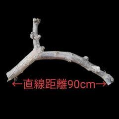 梨 超極太枝 果樹枝 木 幹 根 ★ ハンドメイド DIY 木工 工作 インテリア エクステリア 花材 薪 止まり木 登り木 かじり木 ケージ用オブジェの画像