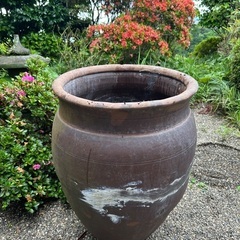 甕 かめ 壺 メダカ 植木鉢