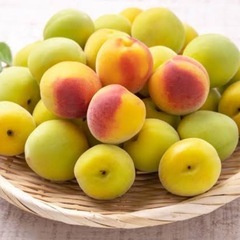 梅が欲しいです。