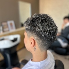 メッシュ、パーマモデル - 助け合い