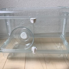 【使用1日のみ】グラスハーモニー360