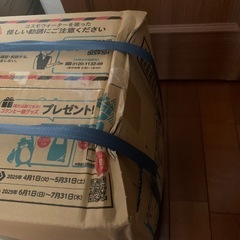コスモウォーター　Cosmo Water 1.2L×2つセット