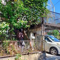 ✂️お庭の草刈り、剪定、刈り込みお手伝いします！ − 東京都