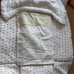 クーファンの画像