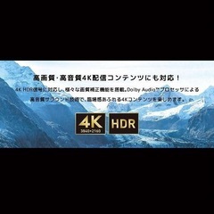 【新品未使用】ORION 4K50V型 チューナーレステレビ　SAUD501
の画像