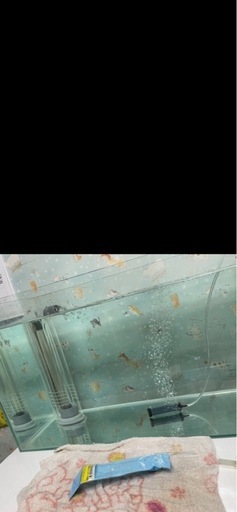 オーバーフロー水槽