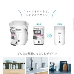 🟡【店頭価格税込492円】スコッティ除菌ノンアルコールの画像