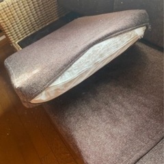 アジアソファーの画像