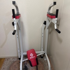 懸垂 懸垂マシン 懸垂器具【220CM調節/耐荷重150kg】ぶら下がり健康器 チンニングスタンド けんすいマシーン  MK580A WASAI(ワサイ)の画像
