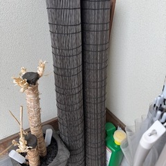 玄関用品や収納の画像