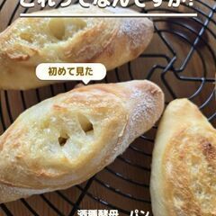 大人気レッスン！キャンセルでました　酒種酵母パン　初参加OK
