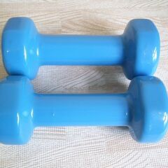 鉄アレイ/ダンベル2kg（ブルー）2個セットの画像