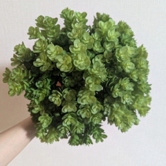 【新品未使用】フェイクグリーン　人工観葉植物　花材の画像