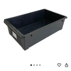 メダカ　トロ箱　タフ舟の画像