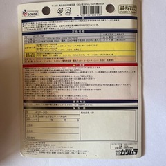 カシムラ 海外用変圧器 110〜130V Aタイプ　TI-200の画像