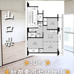 山口県防府市　初期費用ゼロ　家賃49000円　緊急連絡先のみ相談可👌