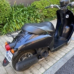 ホンダトゥデイaf61の画像