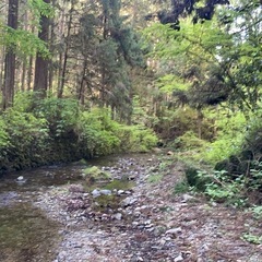 相方募集します！