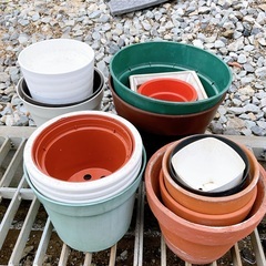 植木鉢(プラと陶器)の画像