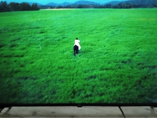 LG 43インチ　液晶テレビ　2022年製　43UP8000PJB
