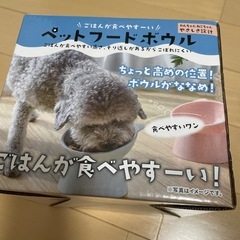 15日〆切 新品未使用 犬猫向けお皿 ペットフードボウルの画像