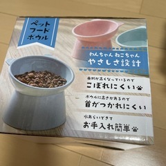 15日〆切 新品未使用 犬猫向けお皿 ペットフードボウルの画像