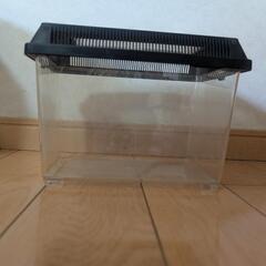 【中古】プラスチック飼育ケースの画像