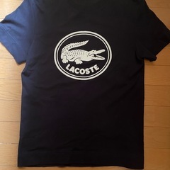 ラコステ　Tシャツ