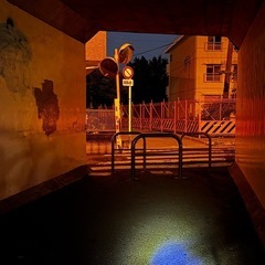 深夜徘徊に行きましょ！