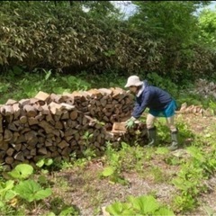 白老町　薪　割薪　約30cm　広葉樹ミックス1立米  未乾燥　2025年度②の画像