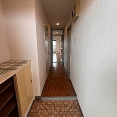 🌻リフォーム完了しました！3DKエレベーター付マンション …