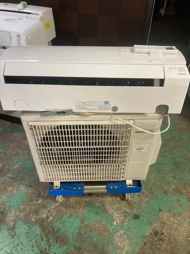 2018 Irish ohyama 6 畳