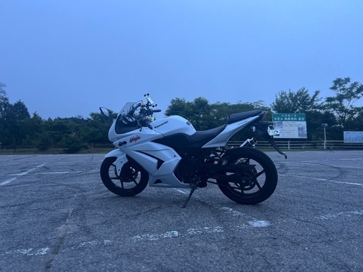 名古屋市NINJA250R EX250K 実働 ニンジャ