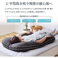 【新品未使用】抱き枕　 5099円の画像