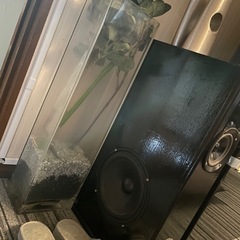 大きいフラワーベース 中身も