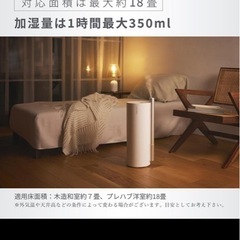 加湿器　箱ありの画像